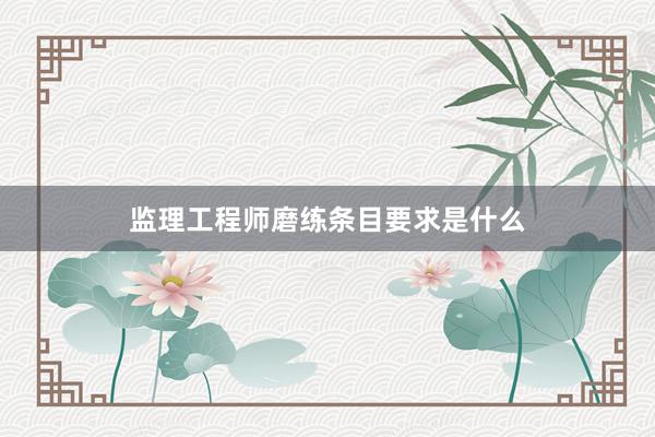 监理工程师磨练条目要求是什么